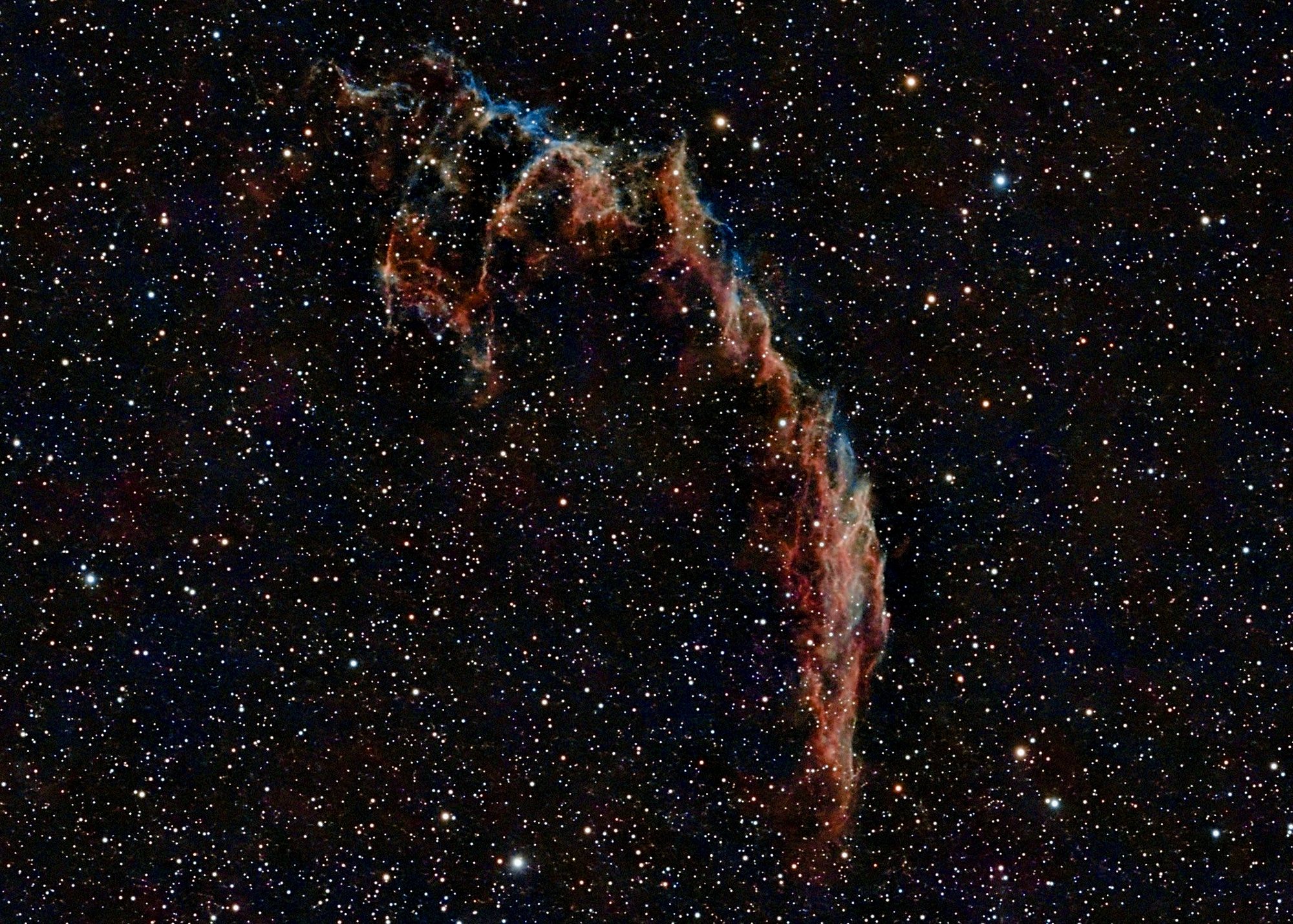 Der östliche Cirrusnebel NGC 6992: geschwungene rote und blaue Filamente vor dichtem Sternfeld.