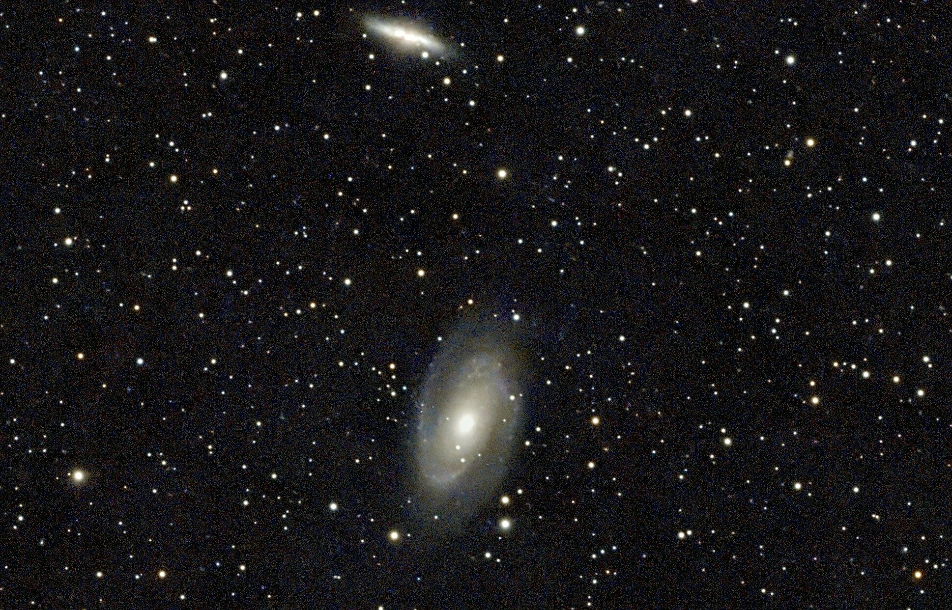 Das Galaxienpaar M 81 und M 82: unten die helle Spirale von Bodes Galaxie, darüber die schmale, hell aufleuchtende Zigarrengalaxie.