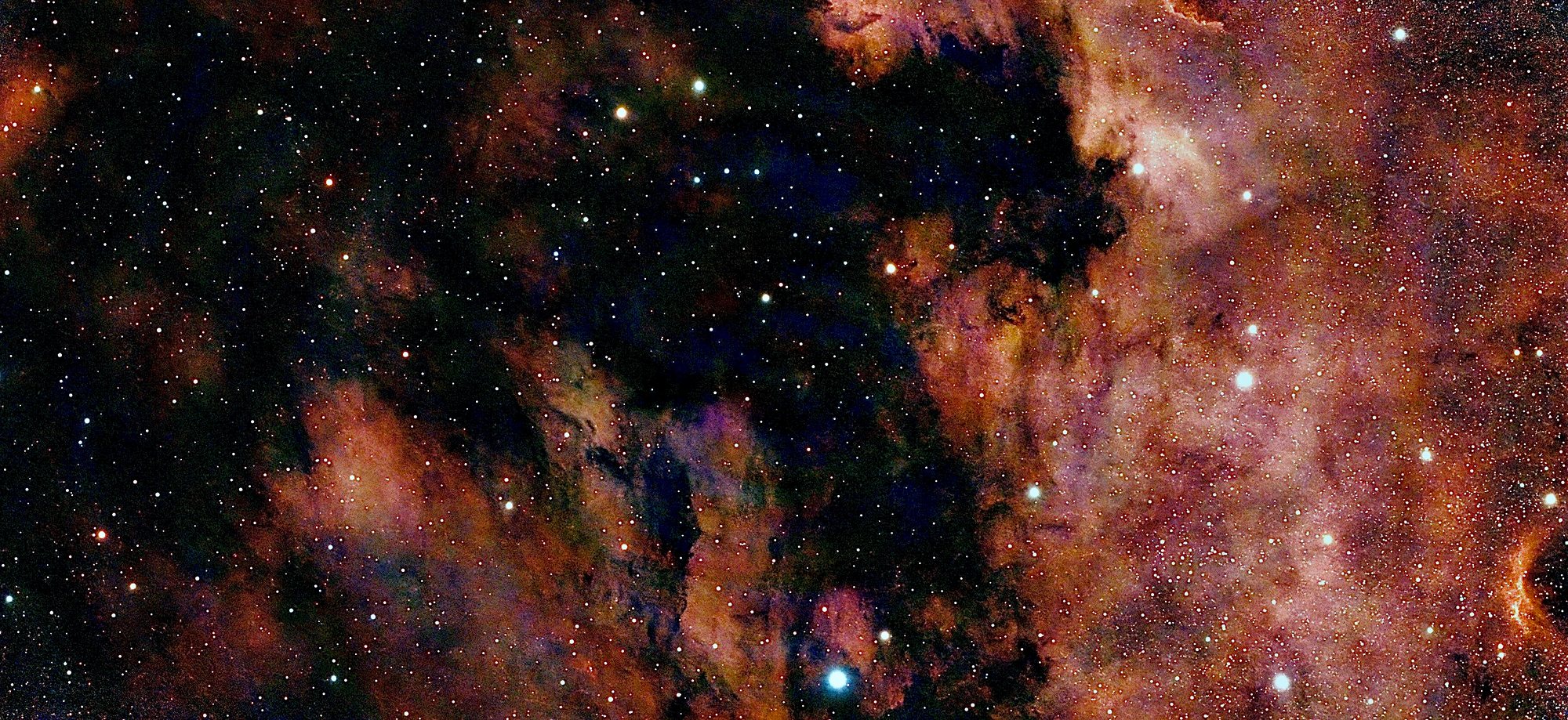 Die Sadr-Region IC 1318 im Schwan: ausgedehnte rote Nebelfelder, geteilt von einem breiten dunklen Staubband.