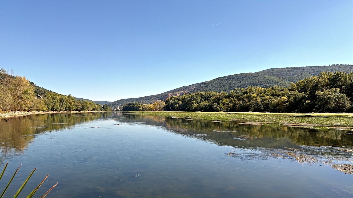 Weiter Blick auf den Rheinbogen bei Lorch unter blauem Himmel, die bewaldeten Ufer spiegeln sich im ruhigen Wasser.