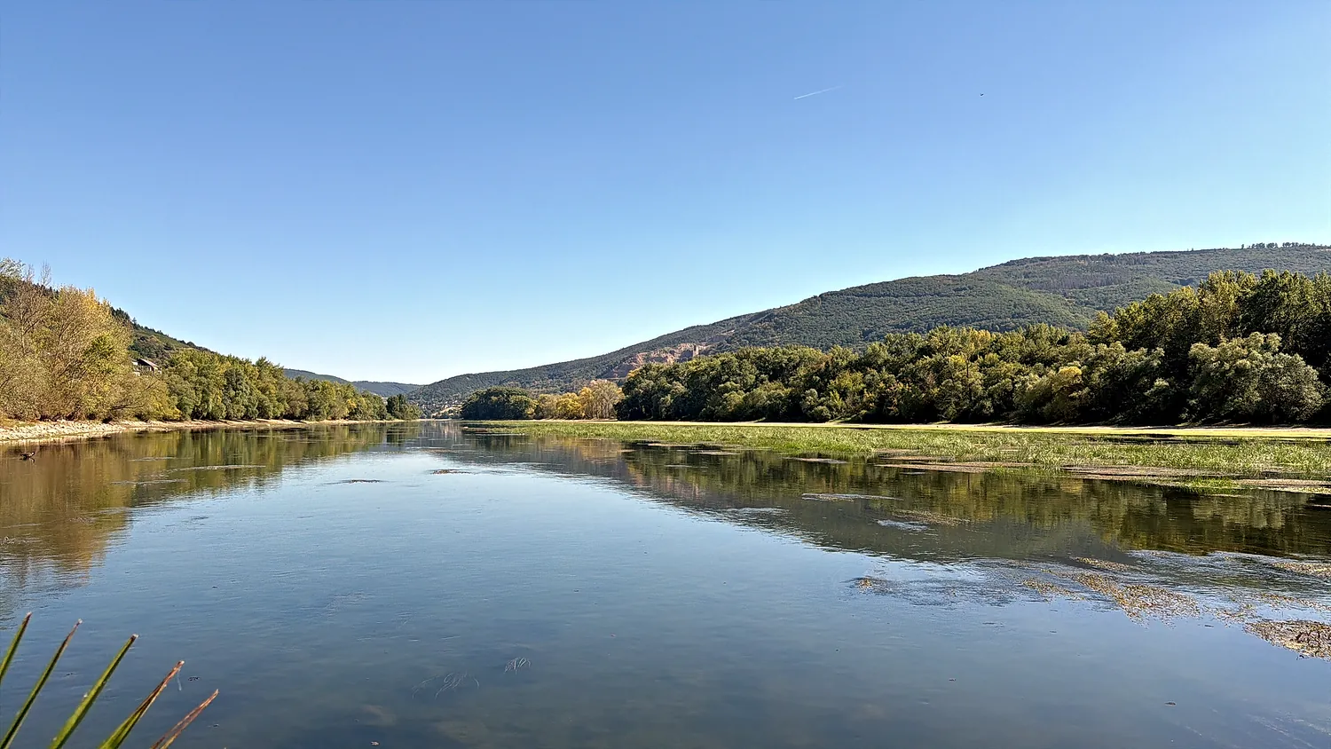 Weiter Blick auf den Rheinbogen bei Lorch unter blauem Himmel, die bewaldeten Ufer spiegeln sich im ruhigen Wasser.
