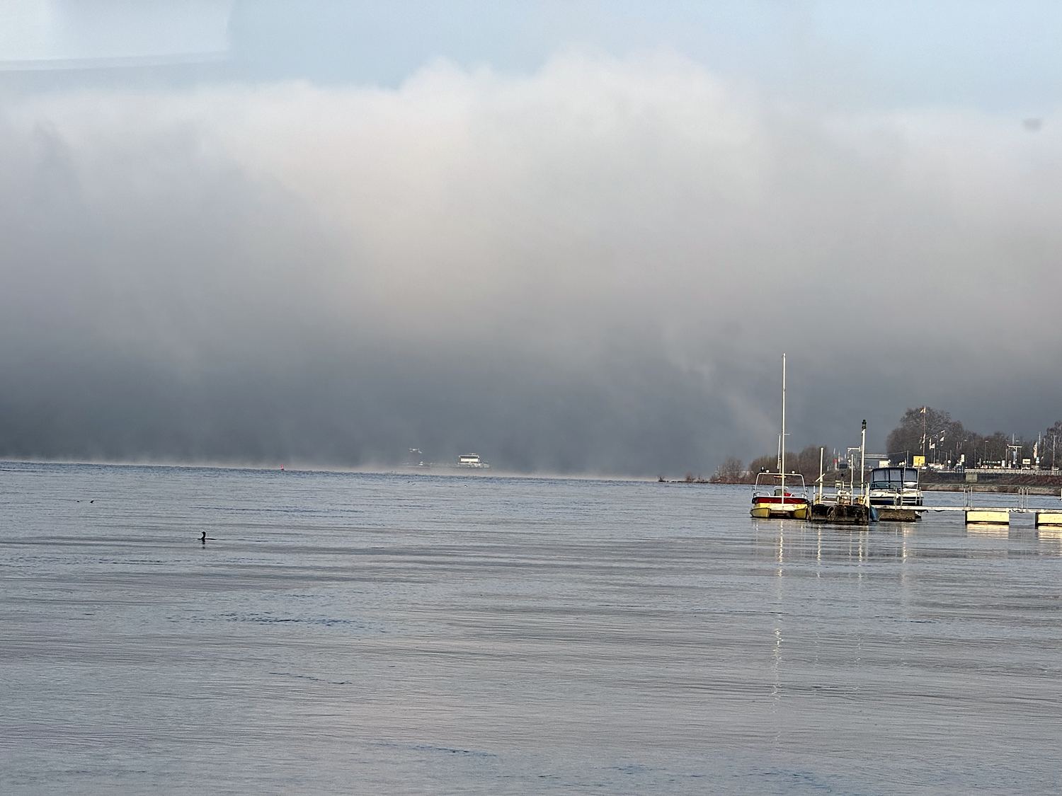 Dichter Nebel über dem Fluss, ein Boot liegt als Schemen davor.