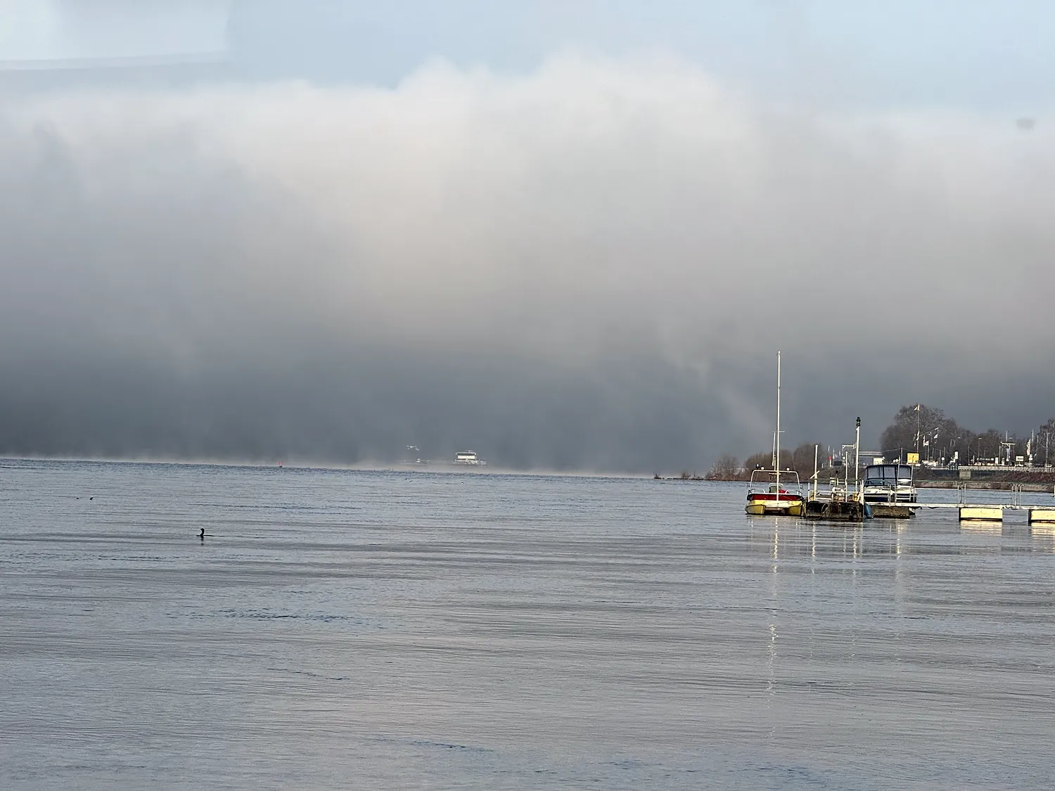 Dichter Nebel über dem Fluss, ein Boot liegt als Schemen davor.