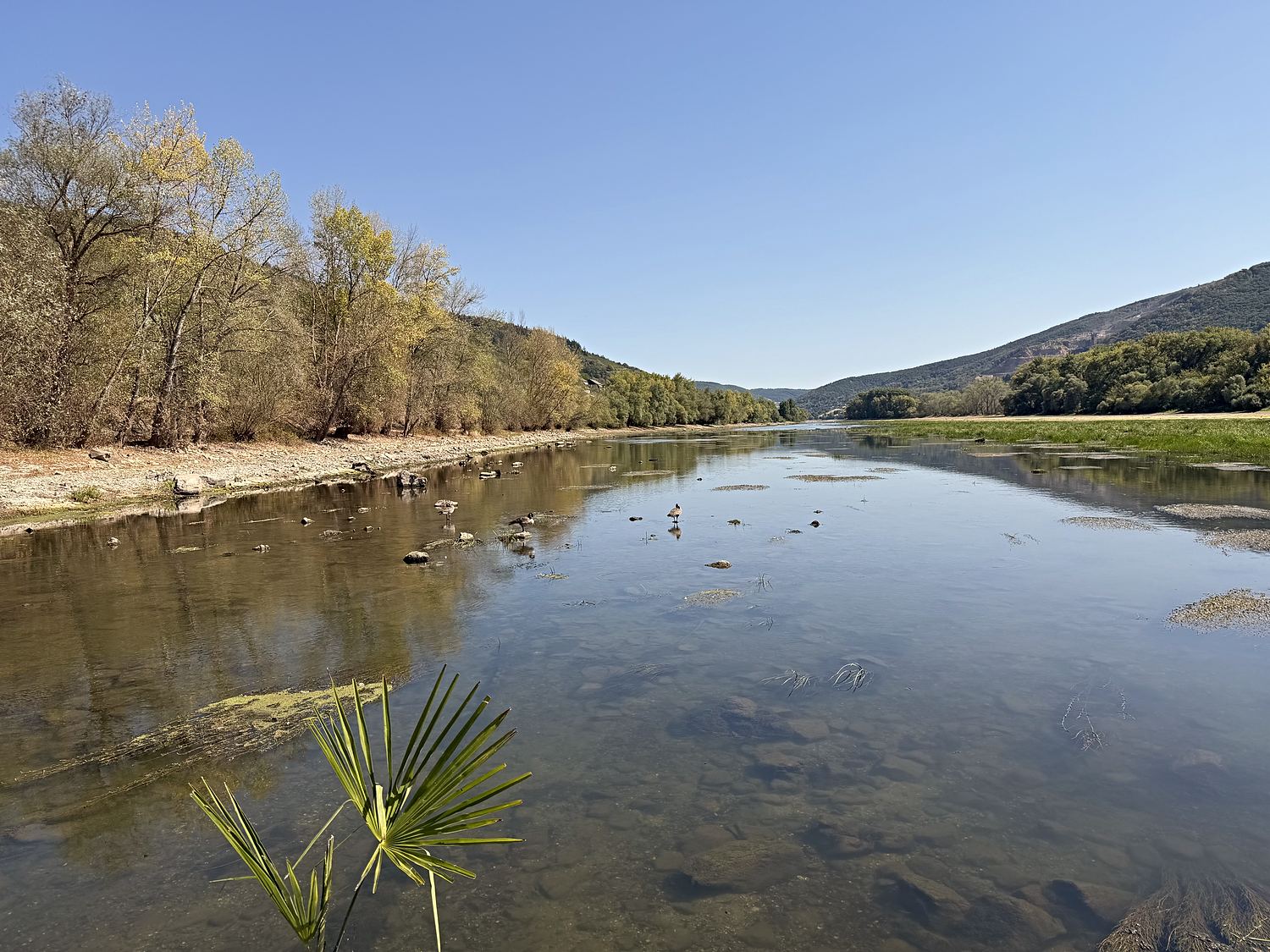 Klares, flaches Wasser im Seitenarm mit Blick flussaufwärts.