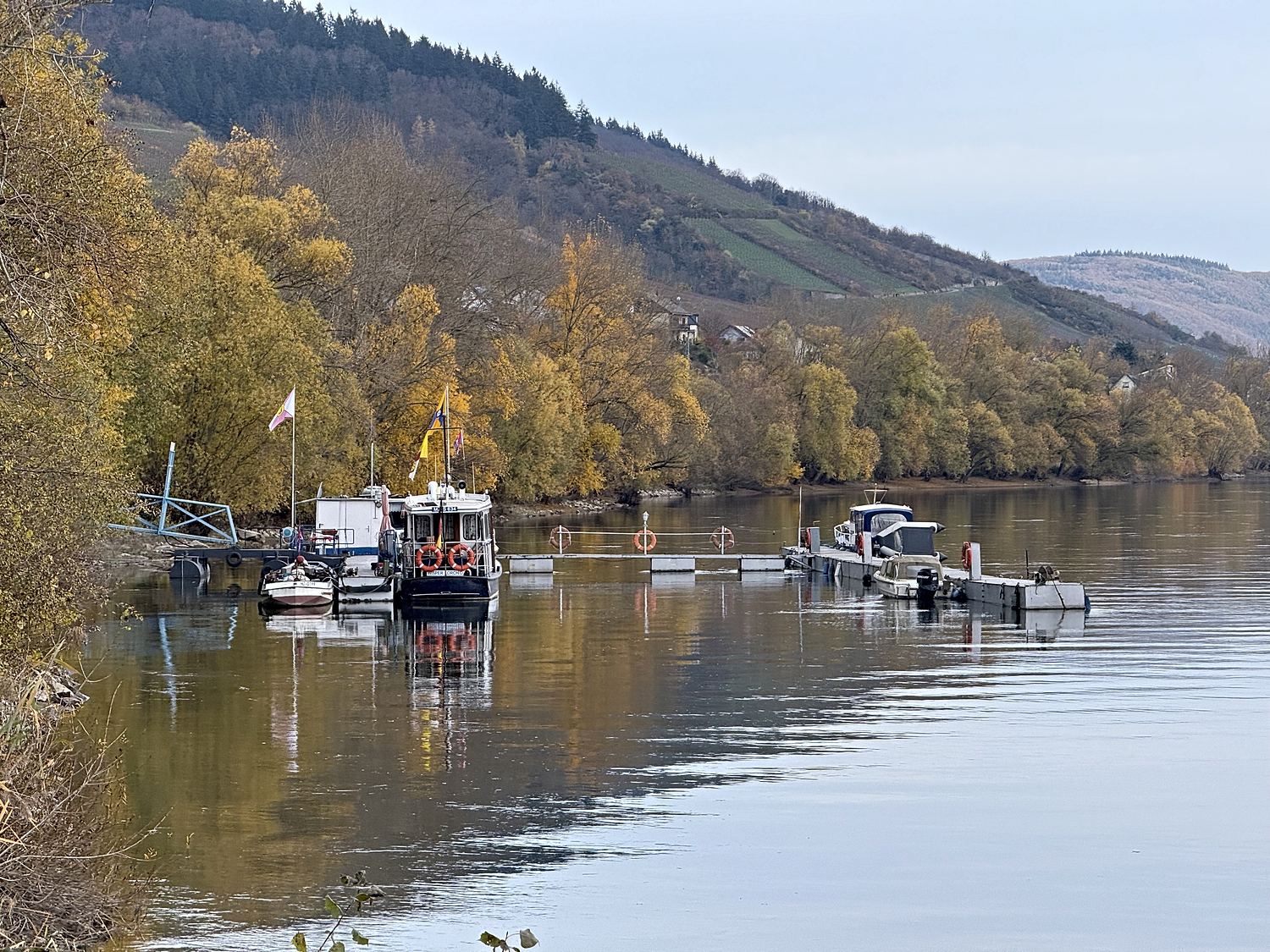 Herbstlicher Steg mit Booten, dahinter die bewaldeten Hänge des Rheintals.